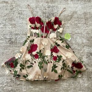 Windsor Whimsical Rose 🥀 Sweetheart Dress